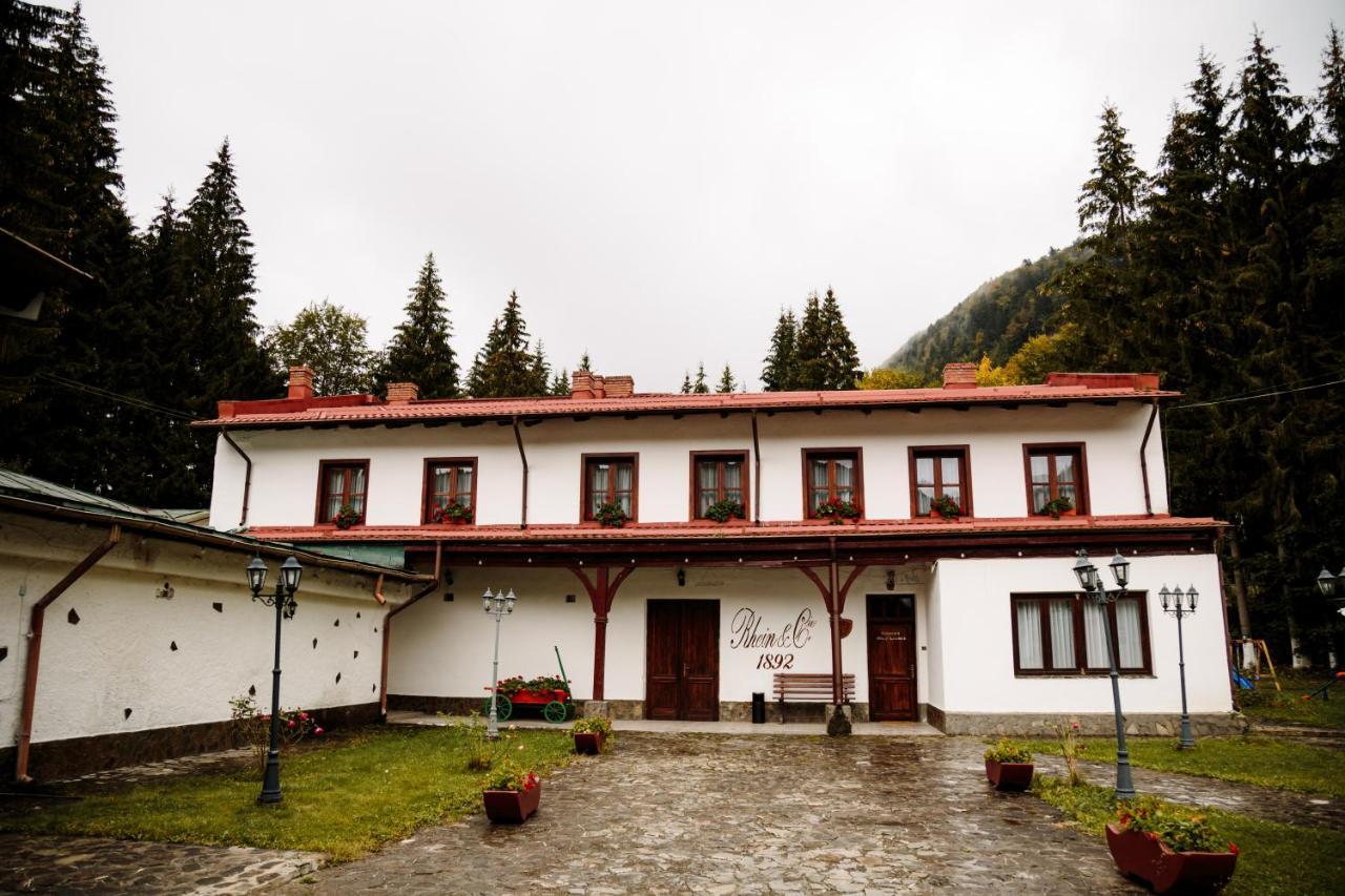 Pensiunea Rhein Azuga Exterior foto