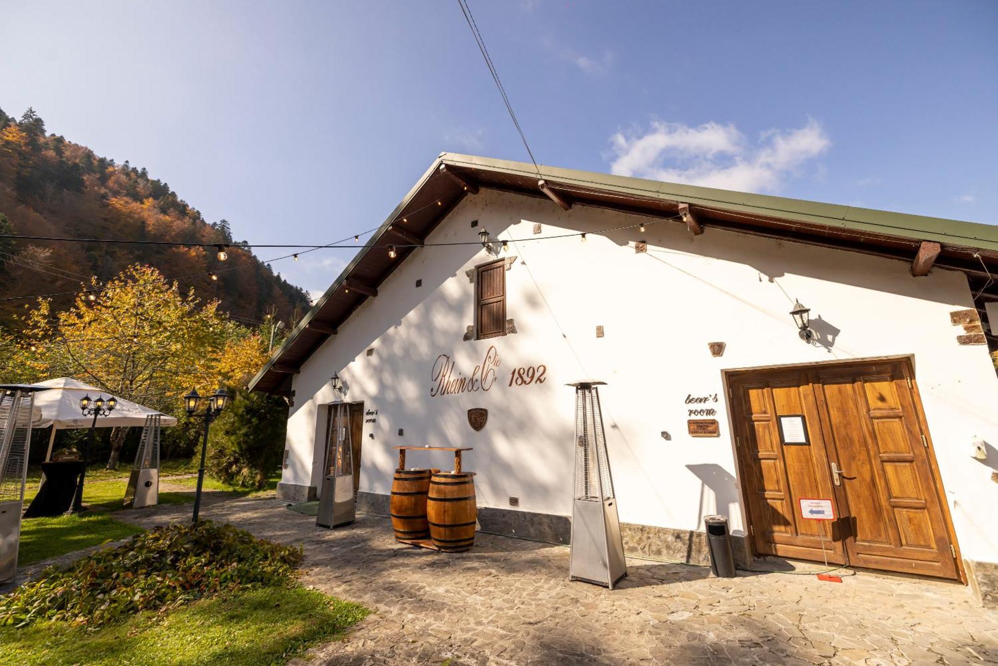 Pensiunea Rhein Azuga Exterior foto