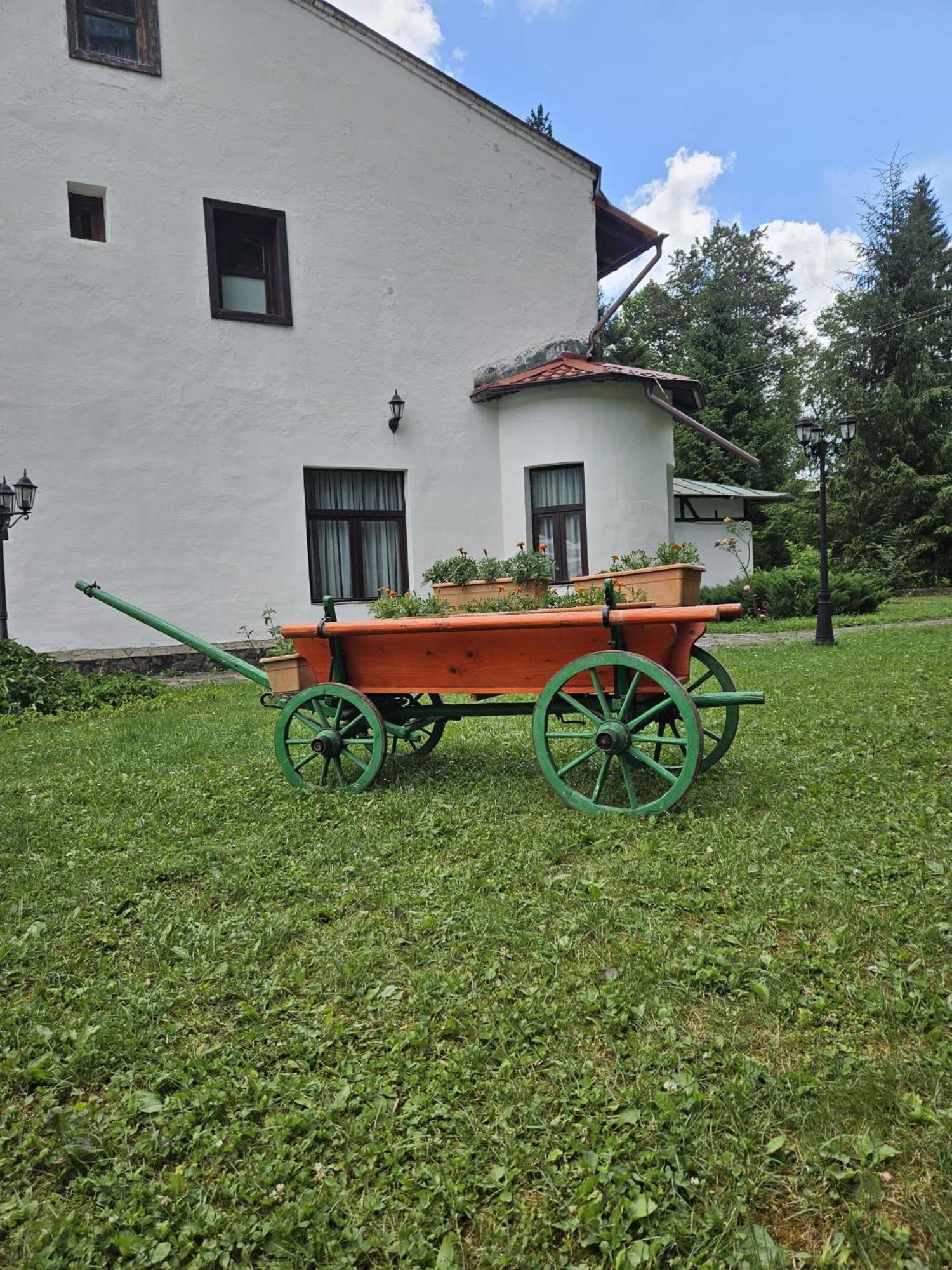 Pensiunea Rhein Azuga Exterior foto