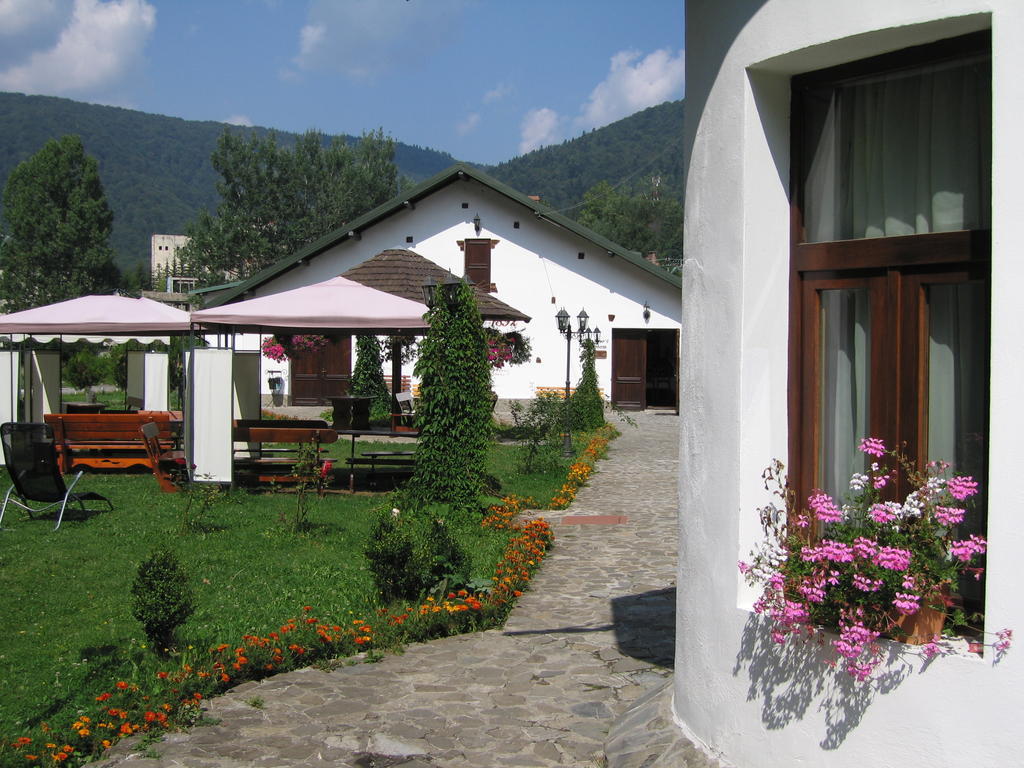 Pensiunea Rhein Azuga Exterior foto