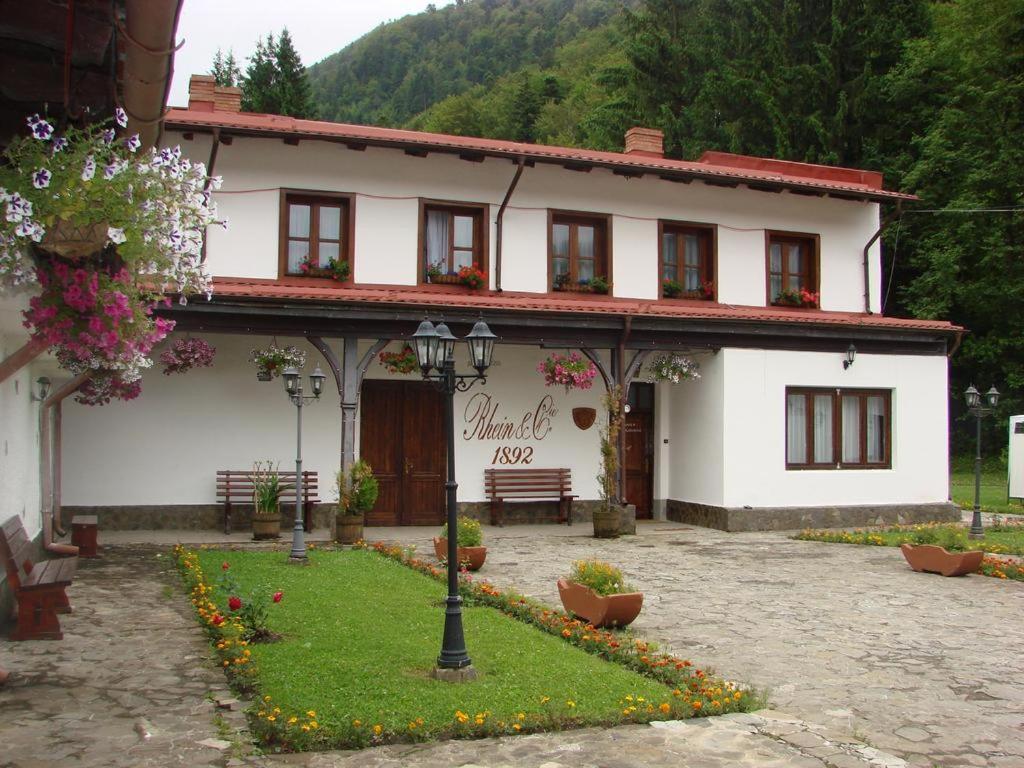Pensiunea Rhein Azuga Exterior foto